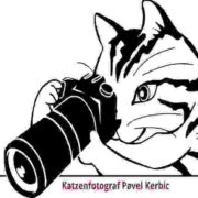(c) Katzenfotograf-frankfurt.de